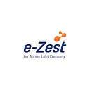 E-Solutions logo