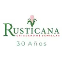 Rusticana Pizza Easton, MD Dover RD logo