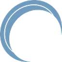 Precise Systems logo