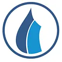 Palmetto Propane logo