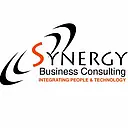 Synergy Business Consulting, Inc. logo