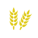 Hay Plus Farms logo