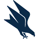 FlyteVu logo