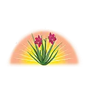 Lily of the Desert logo