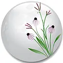 Moon Valley Nursery Inc logo