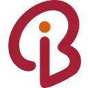 Branding Iron Holding, LLC logo