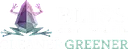 Bliss Car Wash logo
