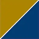 Precision Medicine Group logo