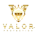 Valor Protection Safety Agency logo