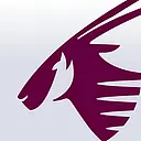 Qatar Executive logo