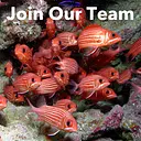 Aquarium Fisheries logo