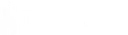 The Citadel logo