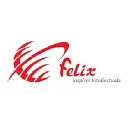 Felix Technologies, Inc. logo