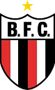 Botafogo Futebol S/A logo