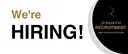 Professional Recruitment logo