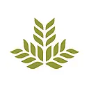 Northeast Georgia Health System logo