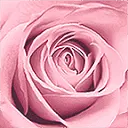 la Vie en Rose logo