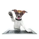 Techoundsllc logo