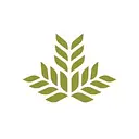 Northeast Georgia Health System logo