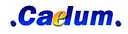 Caelum Research Corporation logo