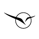 DigaJet Aviation logo