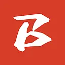 Bingz Group Inc. logo