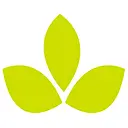 Mayesh logo