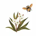 The Rare Honey CO logo