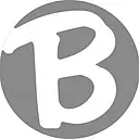 Brady Trucking Inc. logo