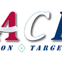 Air Combat Effectiveness Consulting Group (ACE Group), LLC logo
