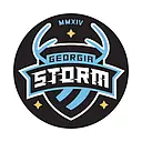 Georgia Sewer and Storm logo