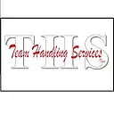 Team Handling Services Inc logo