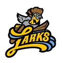 Bismarck Larks logo