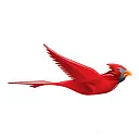 Cardinal Technology Systems logo