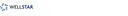 Wellstar logo