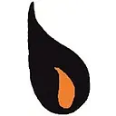 Fire Go logo
