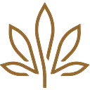 Kiva Brands, Inc. logo