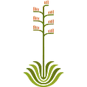 DESERT BOTANICAL GARDEN logo