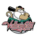 Tri-City ValleyCats, Inc logo
