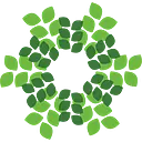 Rainforest Distribution logo
