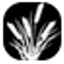 Redwood Living Inc logo