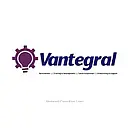 Electrical Engineer - Expatriate at Vantegral Consulting logo