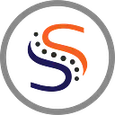 Synergy Spine Solutions logo