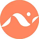 Title Nine Sports logo