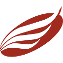 American Eagle Financial Credit Union logo