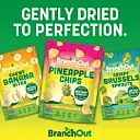 BranchOut Food Inc. logo