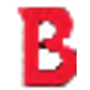 Brix Paving Northwest Inc logo