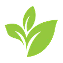 Cannara Biotech Inc. logo