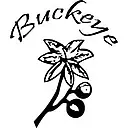 Buckeye Corrugated, Inc. logo