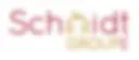 Schmidt Groupe logo